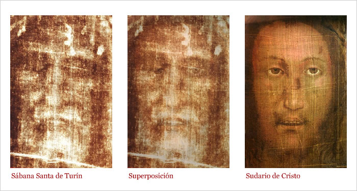 Cuaderno mudo Semejanza El rostro de Cristo - Una comparación entre los sudarios - Sudario de Cristo  y Sábana Santa de Turín